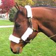 Intrepid International Fleece Halter Set WHITE