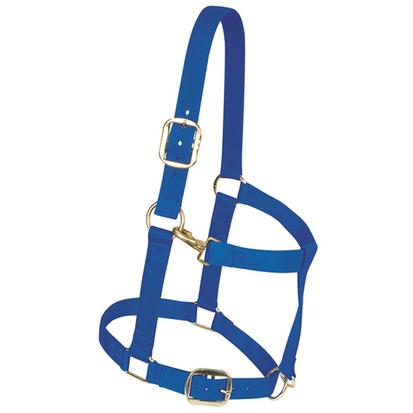 Weaver Leather Nylon Draft Horse Halter 