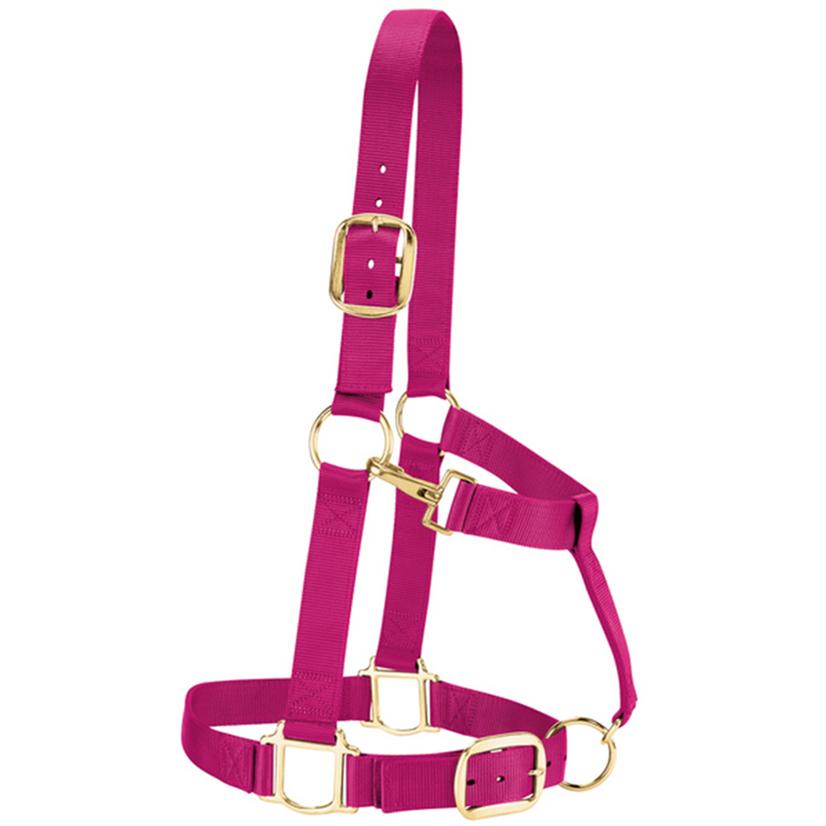 Weaver Leather Nylon Draft Halter, Large RASBERRY
