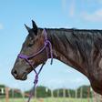 Cashel Flat Braid Halter With 8