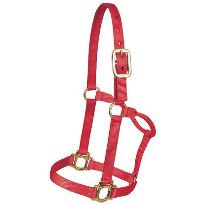 Mustang Triple Ply Nylon Halter Yearling 500lb-800lb RED